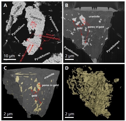 (A) Backscattered electron SEM image of the uraninite aggregate that was selected for FIB-SEM nanotomography and from which the 3D model was produced. The red box indicates the area that was milled to create the 3D model. (B) InLens image from the 3D data set. (C) A reconstructed stack image of the Atlas 3D nanotomography data set showing the uraninite grain with gold in its pore spaces. (D) A reconstructed stack image of the data set with only the gold shown, demonstrating that the gold fills pore space in the uraninite aggregate. The Atlas 3D image data set was segmented, and the grey levels associated with the uraninite aggregate were removed. For better visualization, uraninite and gold were displayed by grey and yellow false colors, respectively.