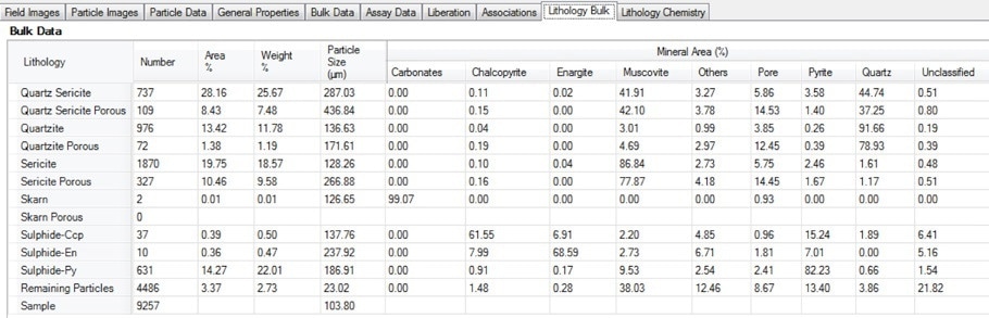 Screenshot of the bulk lithology table in Mineralogic Explorer; the average mineralogy by area % for each user-defined lithology is calculated separately, including a quantitative measure of particle porosity.