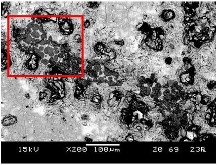 LV-SEM image showing region from which Raman spectra were collected