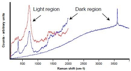 Raman spectra from dark (in blue) and light (in red) areas shown in Figure 1