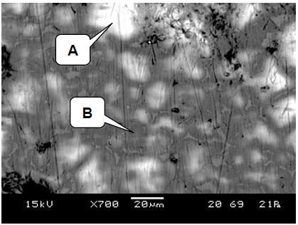 LV-SEM image showing light and dark regions in the clinker matrix, and the presence of grain boundary precipitates. Raman spectra were collected from points A and B