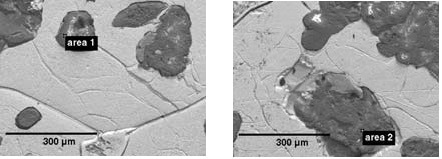 SEM images showing inorganic regions within an iron matrix, and the areas analyzed by EDS and Raman spectroscopy