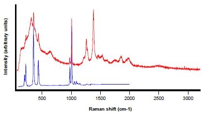 Raman spectrum (in red) collected from the particle shown in Figure 9, zircon reference spectrum in blue
