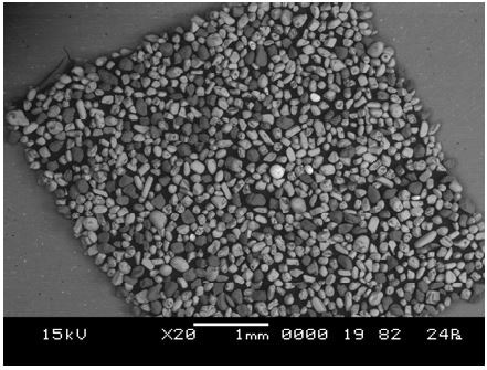 Low magnification LV-SEM image of prepared sample