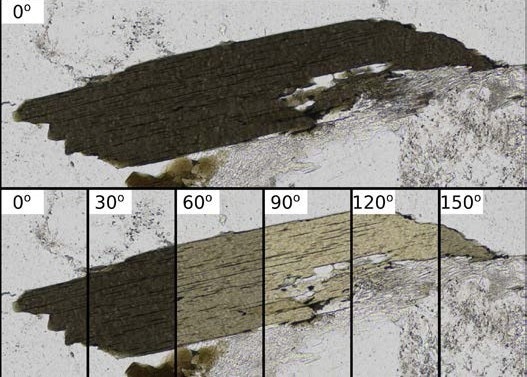 Pleochroism of biotite. As the orientation of the polarizer changes (without analyzer in place) mineral color changes