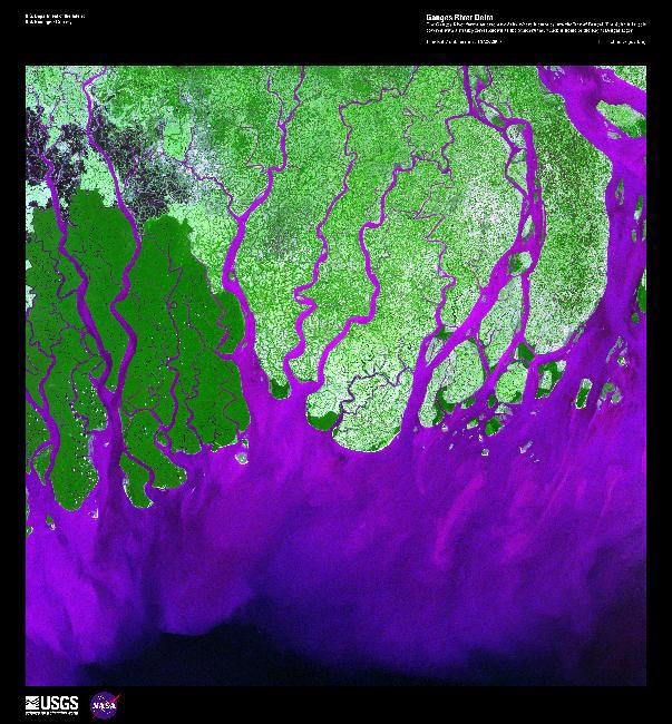 A false-color satellite image of the Ganges river showing a large amount of sediment (violet), from the Himalayas precipitating as it encounters the sea.