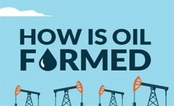 A Guide to Oil and How it is Formed