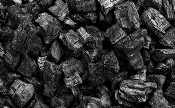 What Is Coal?