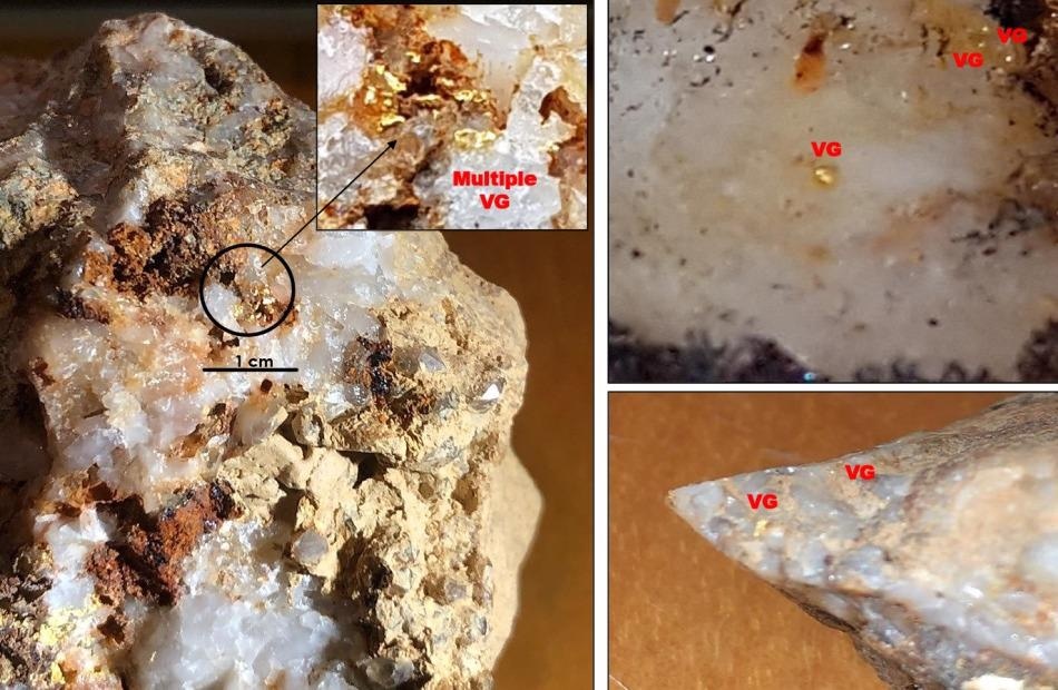 Puma Discovers Additional Quartz Veins and Veinlets at Lynx Gold Zone