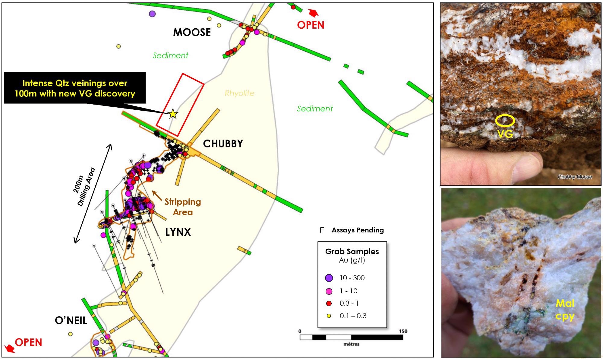 Visible Gold-Bearing Zone Discovered at Puma Exploration’s Williams Brook Gold Property.