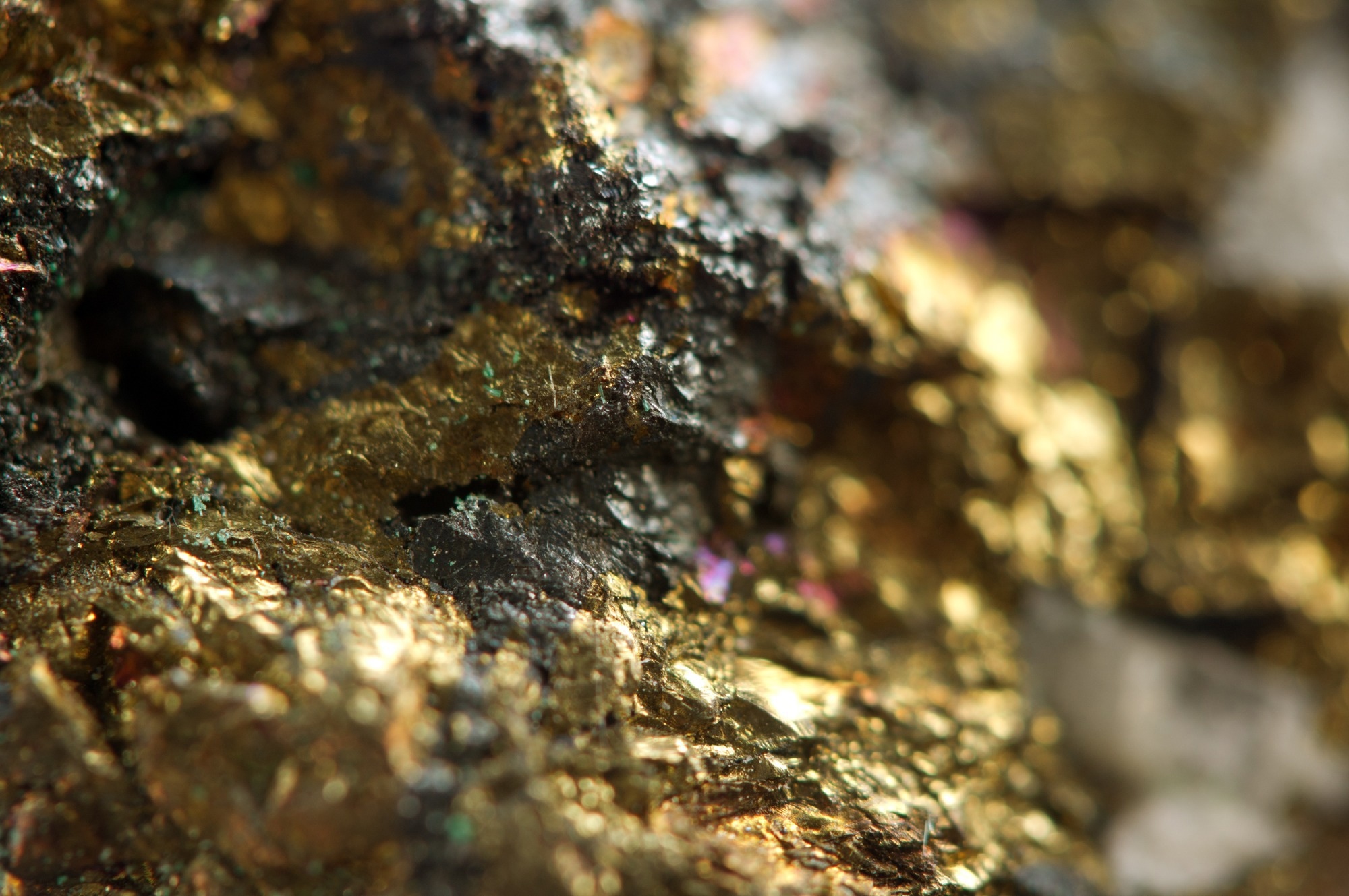 Rex Resources Declares Field Program at the Kalum Gold Property for the Year 2022.