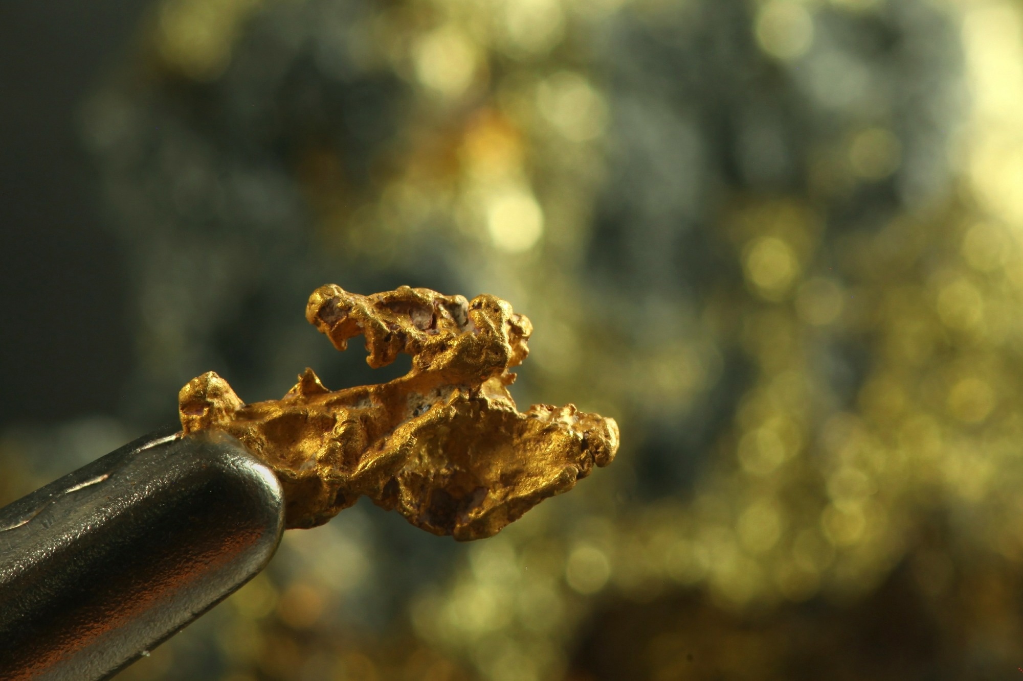 Felix Gold Discloses Results From Treasure Creek Gold Project
