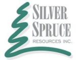 Silver Spruce Files Maiden National Instrument 43-101 Report for Pino de Plata Project