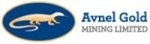 Avnel Reports Results from Definitive Feasibility Study on Kalana Main Project