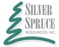 Silver Spruce Provides Updates on Maiden Drill Program at Pino de Plata Project in Mexico