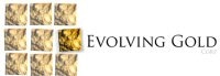 Evolving Gold Conducts Field Exploration Activities at Toro and Lithium Lakes Properties