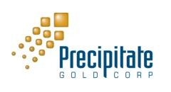 Precipitate Gold Acquires Additional Land at Island Zinc Project