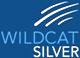 Wildcat Silver Releases Additional Assay Results from Hermosa Property