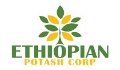 Ethiopian Potash Completes Five Drill Holes at Danakil Project
