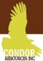 Condor Resources Reports Positive Reconnaissance Sample Results from San Martin Property