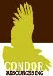 Condor Resources Proclaims Further Assay Results from San Martin Property