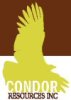 Condor Resources Announces Drill Program Results from San Martin Project, Peru