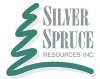 Silver Spruce Resources Completes Phase II Drilling at Big Easy Gold-Silver Property