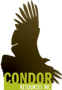 Condor and Mariana Ink LOI for Condor de Oro Project in Northern Peru