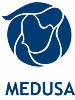 Medusa Mining Operations Not Affected by  Typhoon Pablo