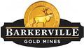 Barkerville Provides Update on QR and Bonanza Ledge Mines