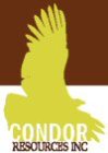 Initial Hole Drilling Confirms Potential for Disseminated Gold on Condor de Oro Project